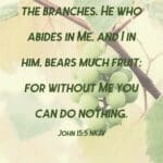 Vine and the Branches Scripture