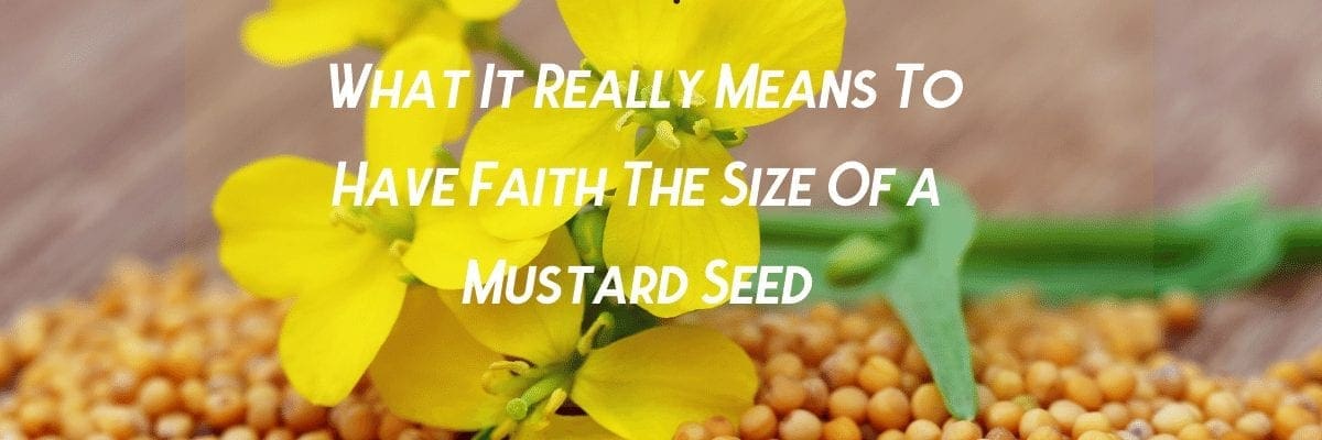 What It Really Means To Have Faith The Size Of A Mustard Seed