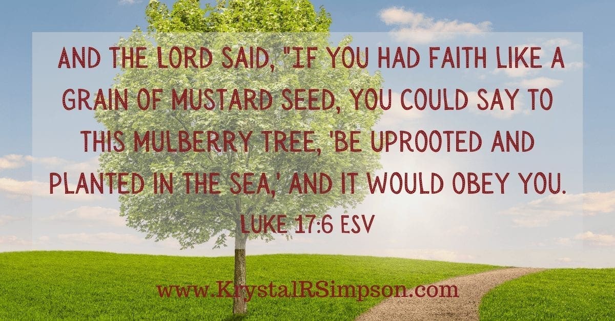 What It Really Means To Have Faith The Size Of A Mustard Seed | Krystal ...