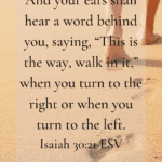 This is the way walk in it scripture