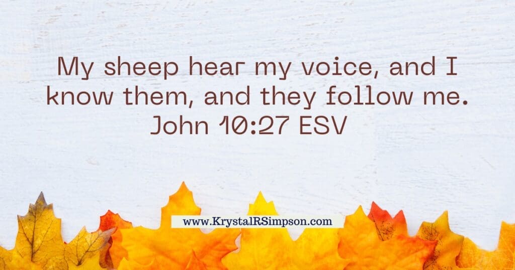 My Sheep Hear My voice